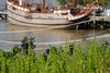 Filename=DSC_0023.JPG
Filesize=158KiB
Dimensions=1024x687
Date added=May 28, 2006 DSC_0023.JPG