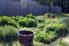 Filename=DSC_0031.JPG
Filesize=216KiB
Dimensions=1024x687
Date added=May 28, 2006 DSC_0031.JPG