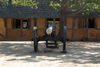 Filename=DSC_0032.JPG
Filesize=166KiB
Dimensions=1024x687
Date added=May 28, 2006 DSC_0032.JPG