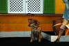 Filename=DSC_0059.JPG
Filesize=128KiB
Dimensions=1024x687
Date added=May 28, 2006 DSC_0059.JPG