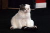 Filename=DSC_0174.JPG
Filesize=84KiB
Dimensions=1024x687
Date added=May 28, 2006 DSC_0174.JPG