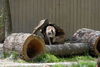 Filename=DSC_0249.JPG
Filesize=157KiB
Dimensions=1024x687
Date added=May 28, 2006 DSC_0249.JPG