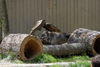 Filename=DSC_0252.JPG
Filesize=153KiB
Dimensions=1024x687
Date added=May 28, 2006 DSC_0252.JPG