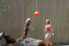 Filename=DSC_0262.JPG
Filesize=96KiB
Dimensions=1024x687
Date added=May 28, 2006 DSC_0262.JPG