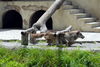 Filename=DSC_0280.JPG
Filesize=191KiB
Dimensions=1024x687
Date added=May 28, 2006 DSC_0280.JPG