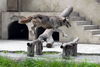 Filename=DSC_0283.JPG
Filesize=159KiB
Dimensions=1024x687
Date added=May 28, 2006 DSC_0283.JPG