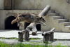 Filename=DSC_0284.JPG
Filesize=141KiB
Dimensions=1024x687
Date added=May 28, 2006 DSC_0284.JPG