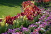 Filename=DSC_0428.JPG
Filesize=254KiB
Dimensions=1024x687
Date added=May 28, 2006 DSC_0428.JPG