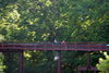 Filename=DSC_0438.JPG
Filesize=196KiB
Dimensions=1024x687
Date added=May 28, 2006 DSC_0438.JPG