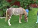 Filename=image0001.jpg
Filesize=91KiB
Dimensions=600x450
Date added=Dec 15, 2005 image0001.jpg