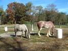 Filename=image0015.jpg
Filesize=99KiB
Dimensions=600x450
Date added=Dec 15, 2005 image0015.jpg