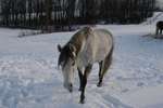 Filename=M.616.jpg
Filesize=108KiB
Dimensions=752x500
Date added=Dec 15, 2005 M.616.jpg