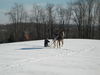 Filename=IMG_0357.jpg
Filesize=82KiB
Dimensions=768x576
Date added=Apr 13, 2007 IMG_0357.jpg