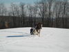 Filename=IMG_0358.jpg
Filesize=89KiB
Dimensions=768x576
Date added=Apr 13, 2007 IMG_0358.jpg
