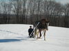 Filename=IMG_0360.jpg
Filesize=93KiB
Dimensions=768x576
Date added=Apr 13, 2007 IMG_0360.jpg