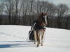 Filename=IMG_0361.jpg
Filesize=99KiB
Dimensions=768x576
Date added=Apr 13, 2007 IMG_0361.jpg