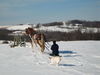 Filename=IMG_0364.jpg
Filesize=67KiB
Dimensions=768x576
Date added=Apr 13, 2007 IMG_0364.jpg