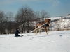 Filename=IMG_0370.jpg
Filesize=82KiB
Dimensions=768x576
Date added=Apr 13, 2007 IMG_0370.jpg