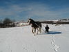 Filename=IMG_0371.jpg
Filesize=60KiB
Dimensions=768x576
Date added=Apr 13, 2007 IMG_0371.jpg