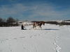 Filename=IMG_0375.jpg
Filesize=60KiB
Dimensions=768x576
Date added=Apr 13, 2007 IMG_0375.jpg