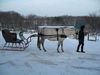 Filename=image0005.jpg
Filesize=116KiB
Dimensions=768x576
Date added=Dec 29, 2005 image0005.jpg