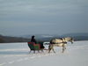 Filename=image0019.jpg
Filesize=59KiB
Dimensions=768x576
Date added=Dec 29, 2005 image0019.jpg