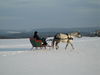 Filename=image0020.jpg
Filesize=60KiB
Dimensions=768x576
Date added=Dec 29, 2005 image0020.jpg