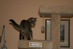 Filename=M.317.jpg
Filesize=24KiB
Dimensions=600x398
Date added=Mar 03, 2005 M.317.jpg