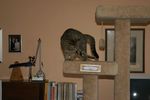 Filename=M.319.jpg
Filesize=26KiB
Dimensions=600x398
Date added=Mar 03, 2005 M.319.jpg