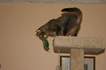 Filename=M.326.jpg
Filesize=21KiB
Dimensions=600x398
Date added=Mar 03, 2005 M.326.jpg