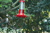 Filename=DSC_0003.jpg
Filesize=97KiB
Dimensions=752x500
Date added=Apr 12, 2007 DSC_0003.jpg