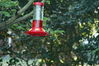 Filename=DSC_0006.jpg
Filesize=97KiB
Dimensions=752x500
Date added=Apr 12, 2007 DSC_0006.jpg