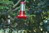 Filename=DSC_0016.jpg
Filesize=96KiB
Dimensions=752x500
Date added=Apr 12, 2007 DSC_0016.jpg