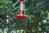 Filename=DSC_0018.jpg
Filesize=97KiB
Dimensions=752x500
Date added=Apr 12, 2007 DSC_0018.jpg