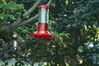 Filename=DSC_0025.jpg
Filesize=96KiB
Dimensions=752x500
Date added=Apr 12, 2007 DSC_0025.jpg