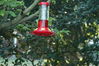 Filename=DSC_0026.jpg
Filesize=98KiB
Dimensions=752x500
Date added=Apr 12, 2007 DSC_0026.jpg