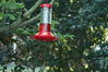 Filename=DSC_0027.jpg
Filesize=100KiB
Dimensions=752x500
Date added=Apr 12, 2007 DSC_0027.jpg