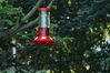 Filename=DSC_0034.jpg
Filesize=86KiB
Dimensions=752x500
Date added=Apr 12, 2007 DSC_0034.jpg