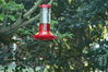 Filename=DSC_0040.jpg
Filesize=99KiB
Dimensions=752x500
Date added=Apr 12, 2007 DSC_0040.jpg
