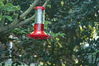 Filename=DSC_0041.jpg
Filesize=97KiB
Dimensions=752x500
Date added=Apr 12, 2007 DSC_0041.jpg