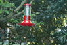 Filename=DSC_0042.jpg
Filesize=98KiB
Dimensions=752x500
Date added=Apr 12, 2007 DSC_0042.jpg