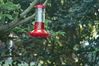 Filename=DSC_0043.jpg
Filesize=93KiB
Dimensions=752x500
Date added=Apr 12, 2007 DSC_0043.jpg