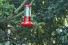 Filename=DSC_0044.jpg
Filesize=99KiB
Dimensions=752x500
Date added=Apr 12, 2007 DSC_0044.jpg
