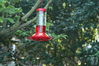 Filename=DSC_0045.jpg
Filesize=95KiB
Dimensions=752x500
Date added=Apr 12, 2007 DSC_0045.jpg