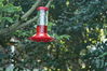 Filename=DSC_0046.jpg
Filesize=97KiB
Dimensions=752x500
Date added=Apr 12, 2007 DSC_0046.jpg