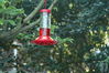Filename=DSC_0047.jpg
Filesize=95KiB
Dimensions=752x500
Date added=Apr 12, 2007 DSC_0047.jpg