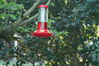 Filename=DSC_0049.jpg
Filesize=95KiB
Dimensions=752x500
Date added=Apr 12, 2007 DSC_0049.jpg