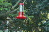 Filename=DSC_0050.jpg
Filesize=91KiB
Dimensions=752x500
Date added=Apr 12, 2007 DSC_0050.jpg