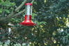 Filename=DSC_0051.jpg
Filesize=97KiB
Dimensions=752x500
Date added=Apr 12, 2007 DSC_0051.jpg