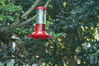 Filename=DSC_0052.jpg
Filesize=96KiB
Dimensions=752x500
Date added=Apr 12, 2007 DSC_0052.jpg
